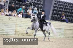 23R13_09102 thumbnail
