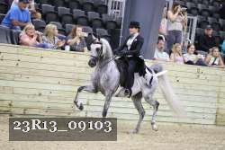 23R13_09103 thumbnail