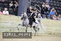 23R13_09104 thumbnail