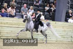 23R13_09105 thumbnail
