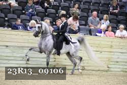 23R13_09106 thumbnail