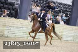 23R13_09107 thumbnail