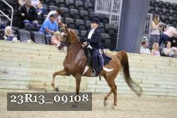 23R13_09108 thumbnail