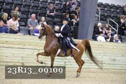 23R13_09109 thumbnail