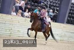 23R13_09111 thumbnail
