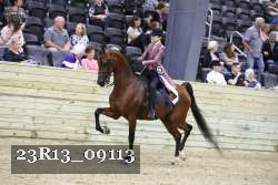 23R13_09113 thumbnail