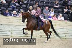 23R13_09115 thumbnail