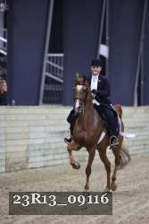 23R13_09116 thumbnail
