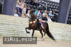 23R13_09120 thumbnail