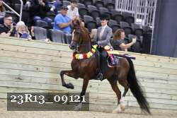 23R13_09121 thumbnail