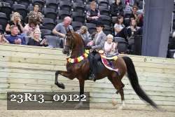 23R13_09122 thumbnail