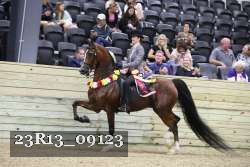 23R13_09123 thumbnail