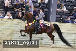 23R13_09124 thumbnail