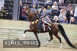 23R13_09125 thumbnail