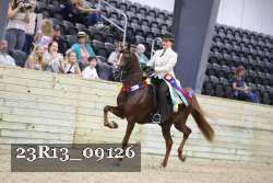 23R13_09126 thumbnail