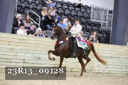 23R13_09128 thumbnail