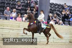 23R13_09129 thumbnail
