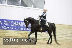 23R13_09177 thumbnail