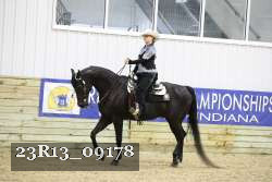 23R13_09178 thumbnail