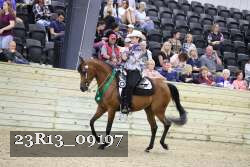 23R13_09197 thumbnail
