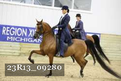 23R13_09280 thumbnail