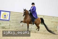 23R13_09282 thumbnail