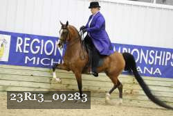 23R13_09283 thumbnail