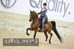 23R13_09285 thumbnail