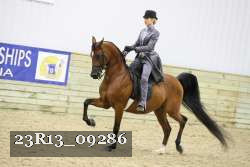 23R13_09286 thumbnail