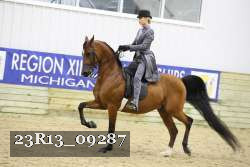 23R13_09287 thumbnail