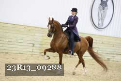 23R13_09288 thumbnail