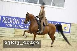 23R13_09290 thumbnail