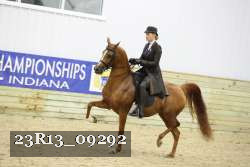 23R13_09292 thumbnail