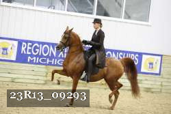 23R13_09293 thumbnail