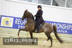 23R13_09294 thumbnail