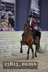 23R13_09296 thumbnail