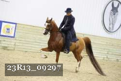 23R13_09297 thumbnail