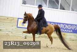 23R13_09298 thumbnail