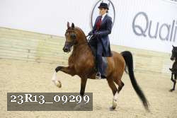 23R13_09299 thumbnail