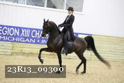 23R13_09300 thumbnail