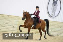 23R13_09301 thumbnail
