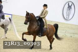 23R13_09303 thumbnail