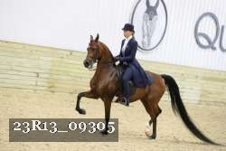 23R13_09305 thumbnail