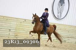 23R13_09306 thumbnail