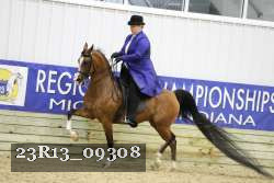 23R13_09308 thumbnail
