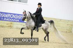 23R13_09309 thumbnail