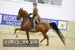 23R13_09310 thumbnail