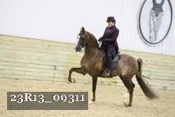 23R13_09311 thumbnail