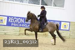 23R13_09312 thumbnail