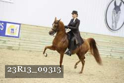 23R13_09313 thumbnail
